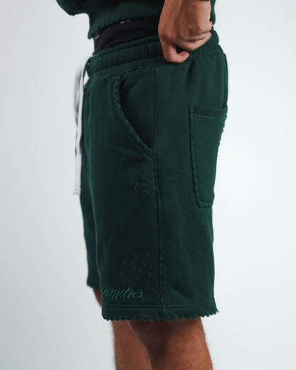 Obsidian Evergreen Shorts